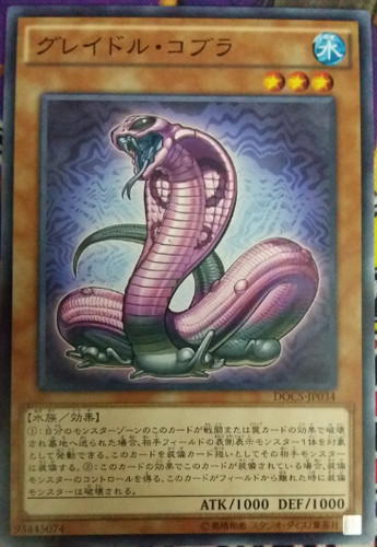 神话眼镜蛇日版游戏王