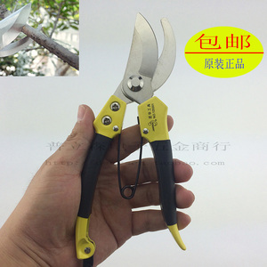 。园林修剪树枝花果树剪子粗枝剪修枝园艺剪刀术嫁接工具进口钢包