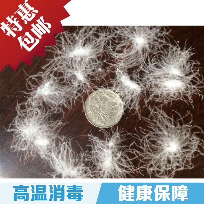 散装羽绒原料鸭绒鹅绒原料散装羽绒鹅绒包邮大朵绒95鹅绒