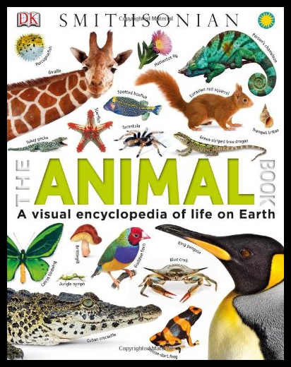 美国库房发货，通常付款后5-8周到货！