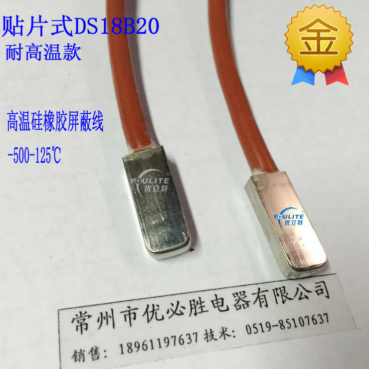 热电偶热电阻数字温度传感器DS18B20 PT100高温贴片式温度探头-封面