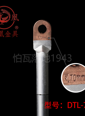 正品凤凰DTL堵油式铜铝接头 DTL-70MM2铜铝鼻子 接线端子 一只价