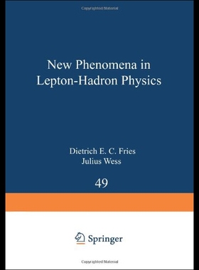 【预售】New Phenomena in Lepton-Hadron Physics