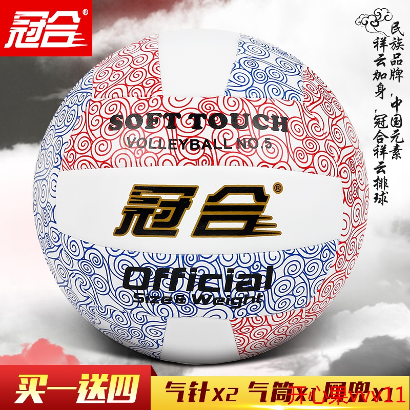 Ballon de volley - Ref 2016759 Image 1