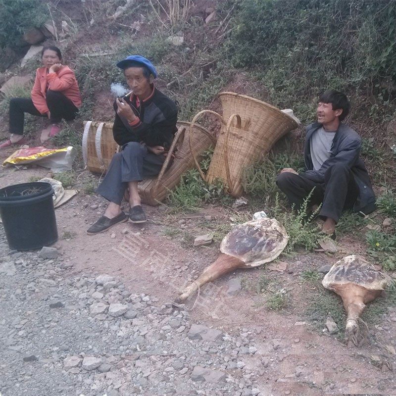 杨宣整只云南风干正宗农家火腿
