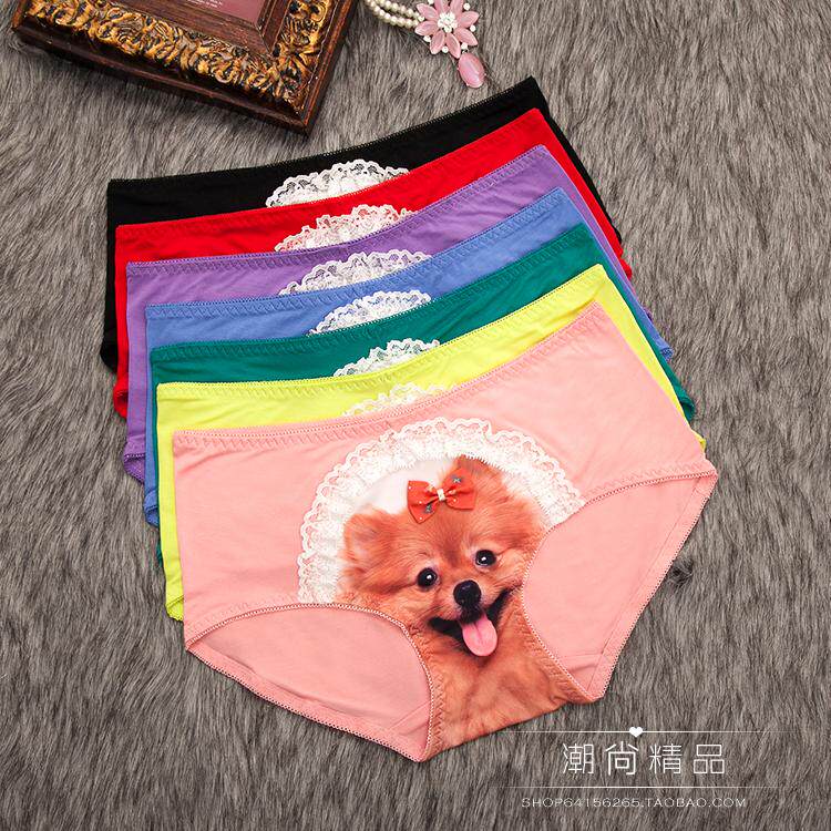 Slip jeunesse en coton - Ref 641847 Image 1