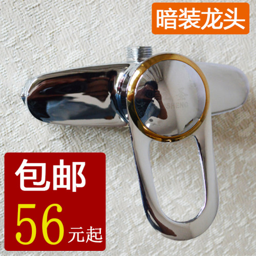 特价全铜单把四分太水器花洒淋浴