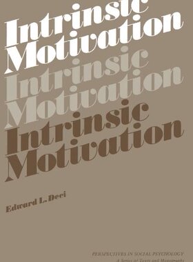【预售】Intrinsic Motivation