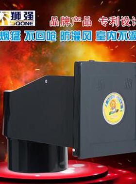 狮强牌S401A厨房排气扇强力换气扇家用窗式10寸静音油烟通风机
