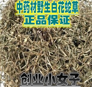 中药材野生白花蛇舌草百花蛇舌草新品干货500克