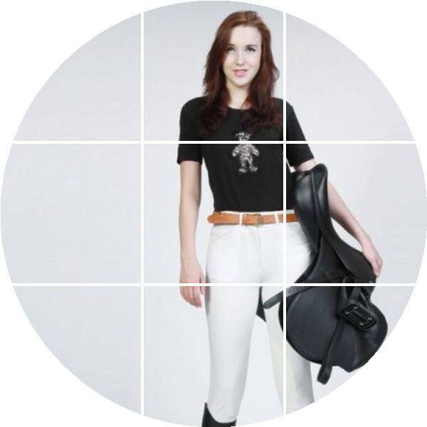 Article sports equestres HILLMAN - Ref 1379437 Image 1