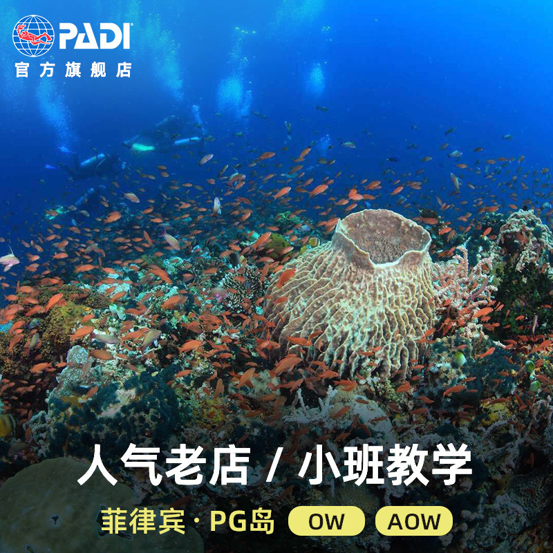 PADI认证五星训练潜店，专业中文教练针对不同学院制定专属教学计划标配齐全专业潜水装备，安全有保障