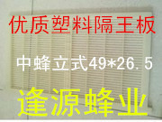 蜂具批发 隔王板意蜂塑料隔王板 立式隔王板 养蜂工具