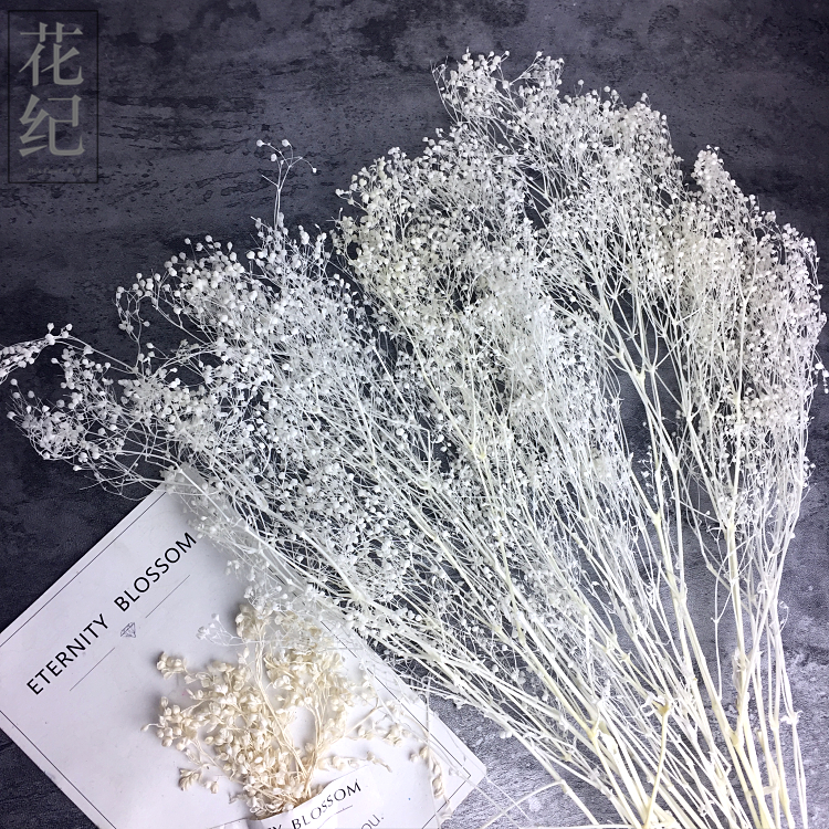 »¨¼ÍÓÀÉú»¨diy³µ¹ÒÔ¿³×¿Û²£Á§ÕÖÐÂÄïÍ·ÊÎϼ²ÝÃÔÄãÂúÌìÐǹú²úÃ×°×