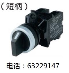 长江电器 CJK22-20X3 短柄旋钮开关 转换开关