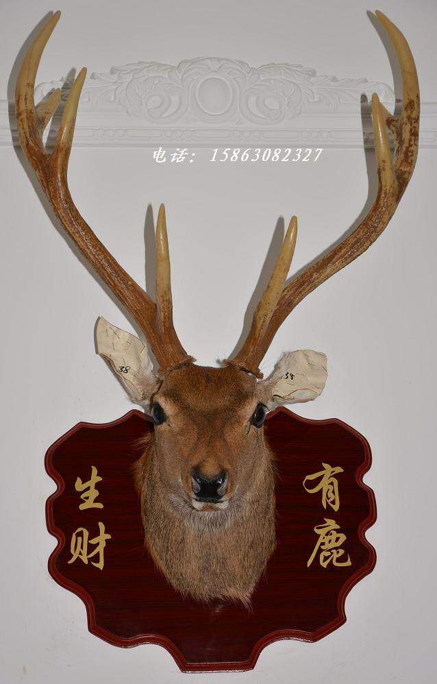 鹿头标本壁挂A38欧式壁饰真皮毛鹿头仿真鹿角 酒吧样板房生财装饰
