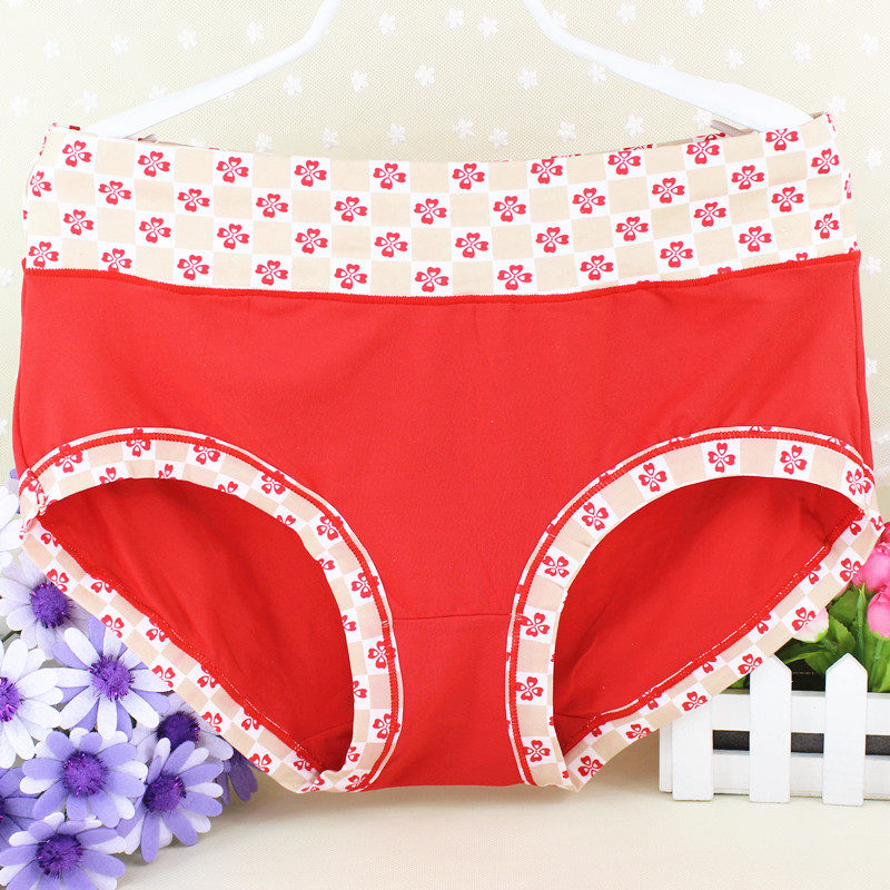 Slip Moyen-âge Ceinture à carreaux - Ref 643866 Image 1