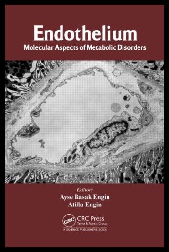 【预售】endothelium: molecular aspects of metabolic disor