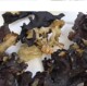 湖南邵阳特产 黑木耳干货粗黑木耳湖南脆木耳