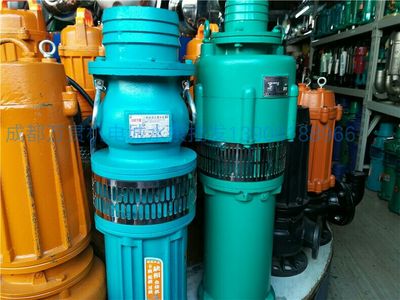 人民上海充油式喷泉大流量潜水泵