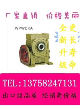 WPWDKA铁壳涡轮立式直连电机通孔输出型蜗轮蜗杆 WP减速机