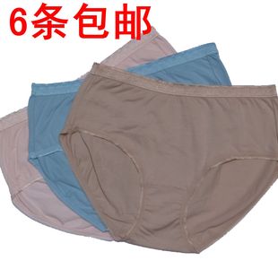 6条包邮三枪内裤 dici中档纯色中腰棉莱卡女内裤女三角裤49017B0