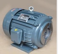 FUAN SANYE电机 YTY100L1-4  2.2KW 马达 YT802-4  0.75KW