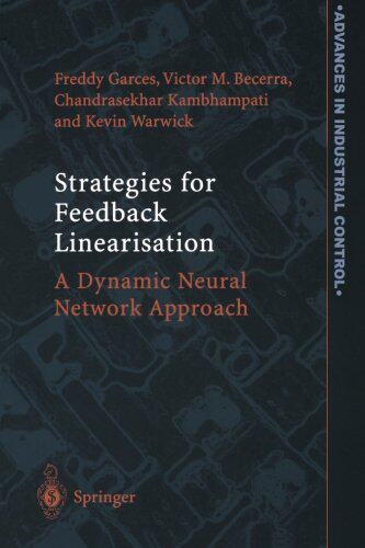 【预售】Strategies for Feedback Linearisation: A Dynamic ...