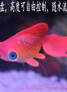 推荐仿真鱼缸水族箱造景装饰红色金鱼蝶尾观赏鱼假鱼带吸盘可悬浮