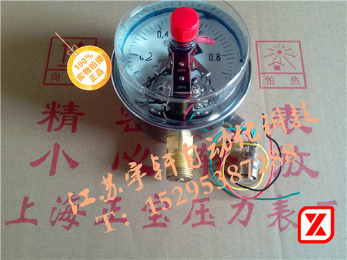 上海正宝压力表厂 YNXC-100 1MPa 耐震磁柱式电接点压力表 - 封面