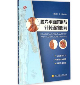 【特价处理】腧穴平面解剖与针刺通路图解