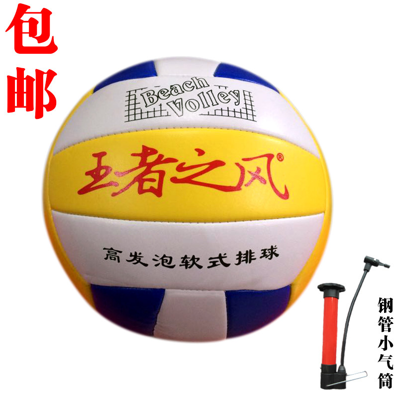 Ballon de volley-ball - Ref 2013642 Image 1