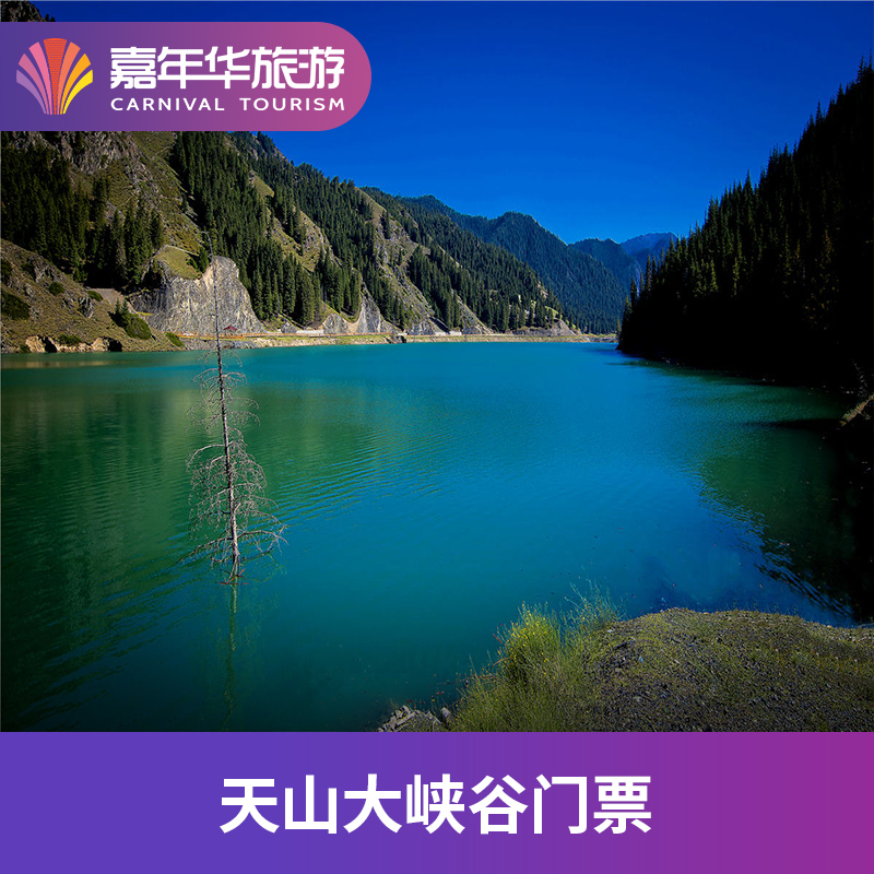 [天山大峡谷-大门票 往返区间车票]天山大峡谷 大门票 往返区间车票
