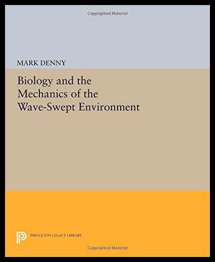 美国库房发货，通常付款后5-8周到货！