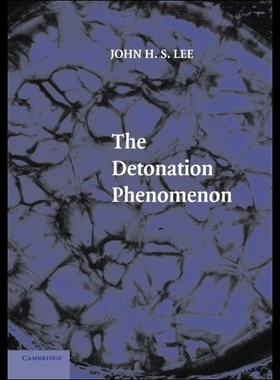 【预售】The Detonation Phenomenon