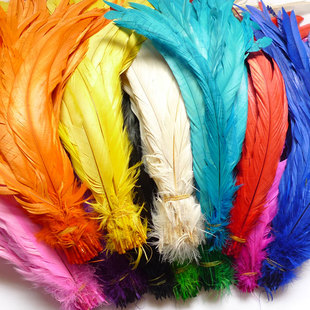 35-40cm公鸡尾羽毛cosplay舞台狂欢节人妖头饰桑巴舞翅膀服装配件