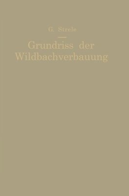 【预订】Grundriss Der Wildbachverbauung