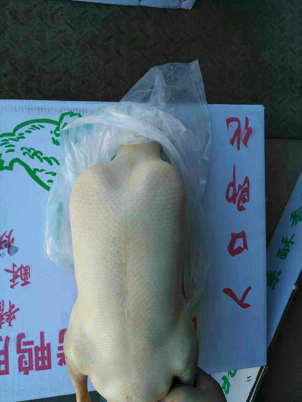 北京烤鸭酥不腻鸭坯鸭钩鸭堵鸭撑子鸭饼薄皮大董专用鸭坯