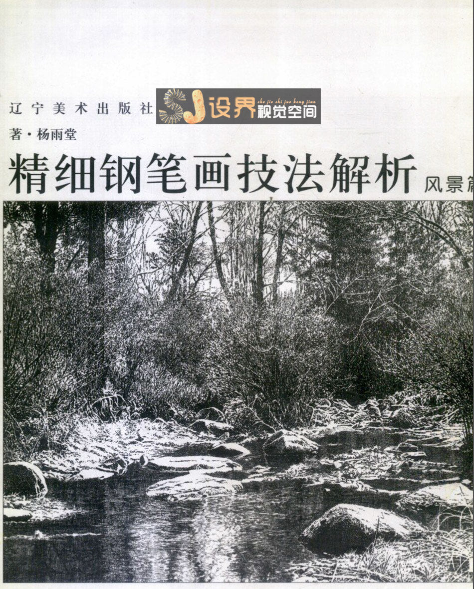 杨雨堂钢笔画教程 超写实钢笔画 钢笔画 钢笔画教程