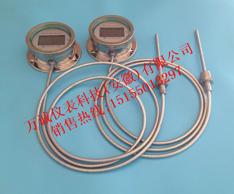 压力式数字温度计 DTM-491 -80~500℃ 标配2米 包用3年