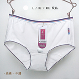 Slip jeunesse simple en coton - Ref 642794 Image 18