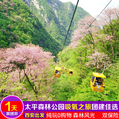 陕西旅游西安旅游秦岭太平国家森林公园吸氧一日游周边游