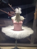 专业芭蕾成人演出服儿童表演纱裙练习裙蓬蓬裙小天鹅湖舞剧tutu裙