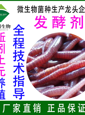 EM菌养蚯蚓土元蝇蛆蝎子发酵饲料消毒猪马牛羊粪便发酵剂