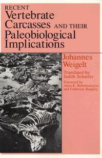 预售 and Recent Carcasses Thei... Vertebrate