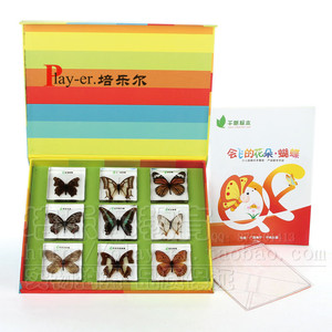 新款会飞的花朵蝴蝶幼儿园儿童科学实验室认识9种常见的蝴蝶包埋