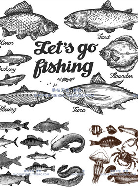 A3545矢量复古手绘鱼类海洋生物插画 AI设计素材