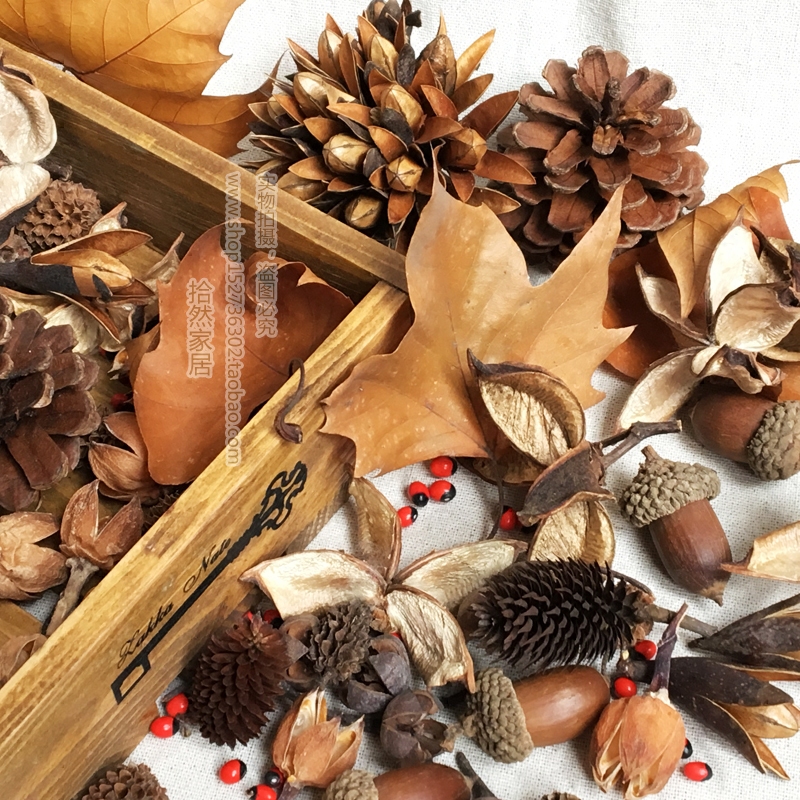 Christmas Garland fruit natural Dried flowers Dry Fruits shot prop Retro Texture Echinacea Acorn Rosehipin the Home accessories , Vase/Flower/Artificial flowers/Imitation jewelry , Dried flowers/Petal/Dried package/Dry twigs  category - from Buy2taobao.com to provide professional Taobao agent buy service