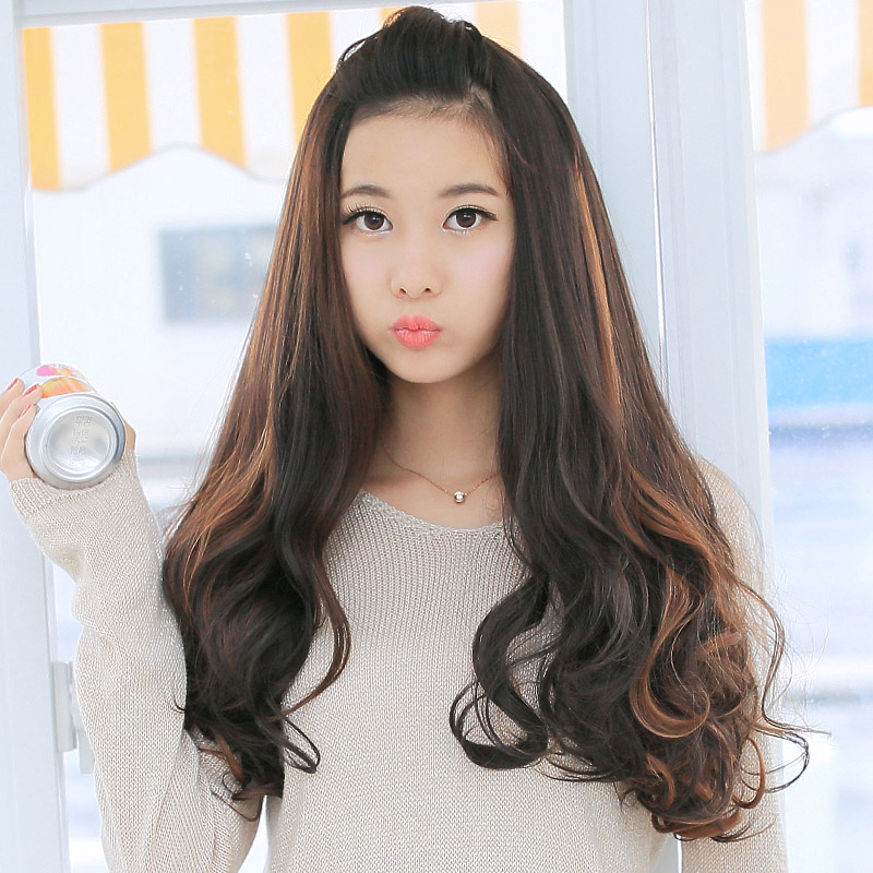 Perruque      Les cheveux longs - Ref 2609278 Image 1