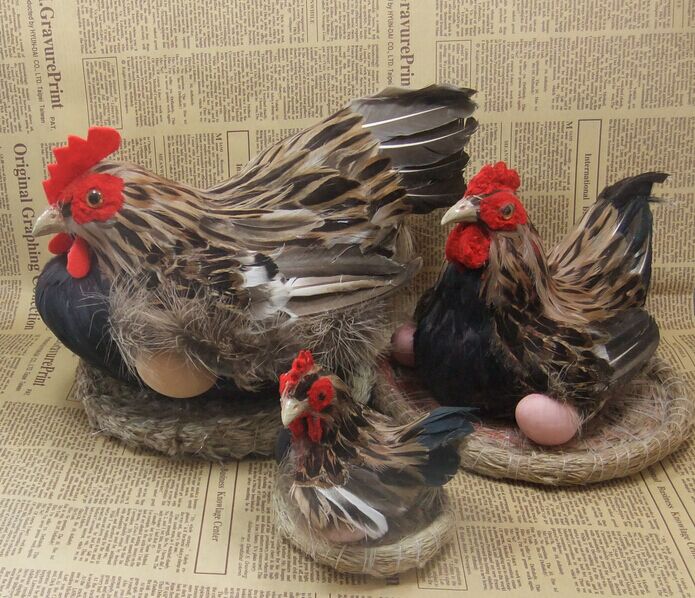 羽毛家禽类母鸡摄影道具静态模型